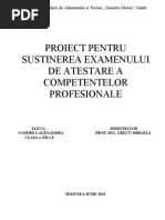 Download Atestat Valorificarea Potentialului Turistic in Judetul Brasov by Alexandra Condrea SN97072479 doc pdf