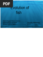 Overview of Batomorphi Classification | PDF | Vertebrates | Elasmobranchii