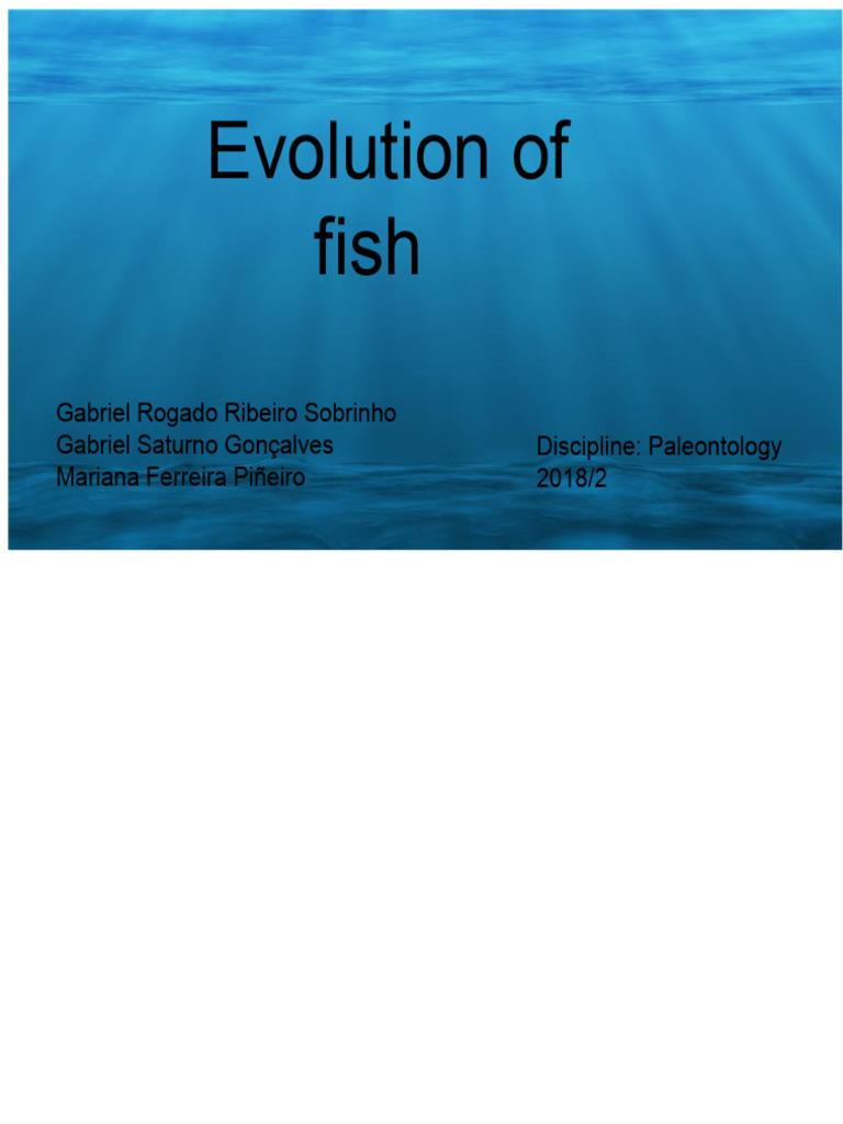 Evolution of fish | PDF | Vertebrates | Elasmobranchii