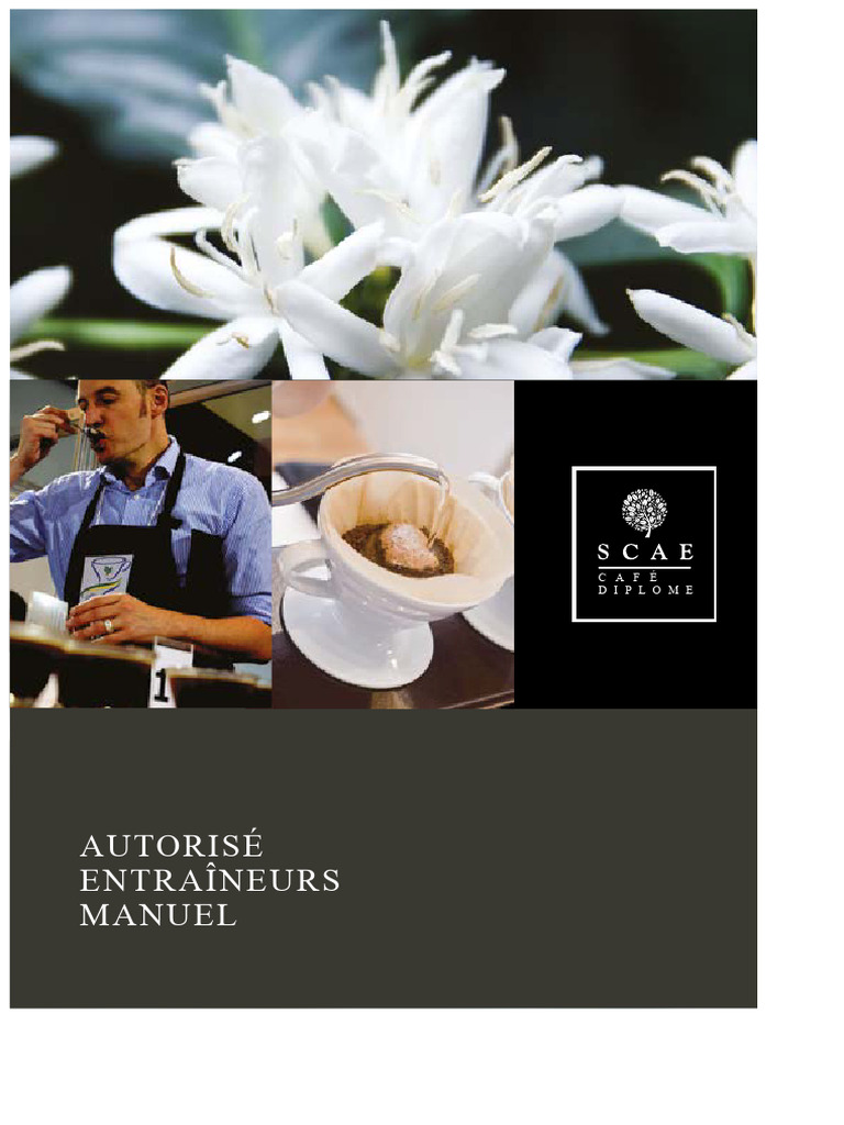 Guide du Diplôme de Café SCAE | PDF | Café | Sens (physiologie)