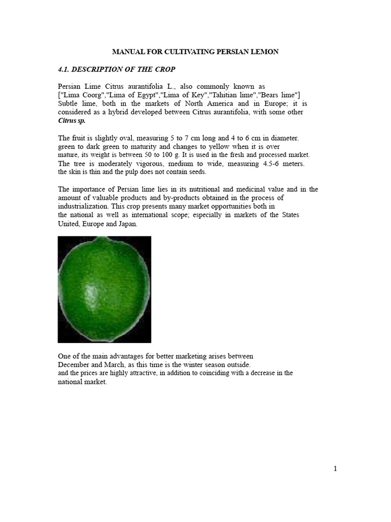 Persian Lime Cultivation Guide | PDF | Soil | Fertilizer