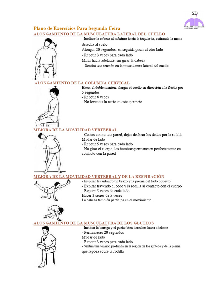 plan-de-ejercicios-de-estiramientos-pdf-hombro-t-rax