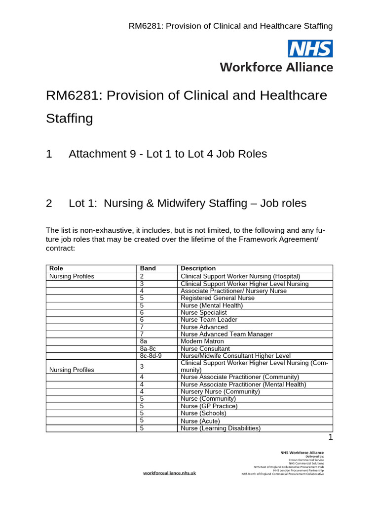 RM6281 Job Roles Per Lot v1.1 | PDF | Pharmacy | Physical Therapy