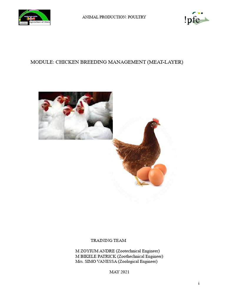 Chicken Breeding Management Guide | PDF | Animal Feed | Poultry Farming