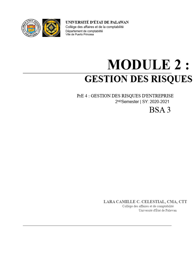 Module 2 - Processus de Gestion Des Risques | PDF | Risque | Gestion ...
