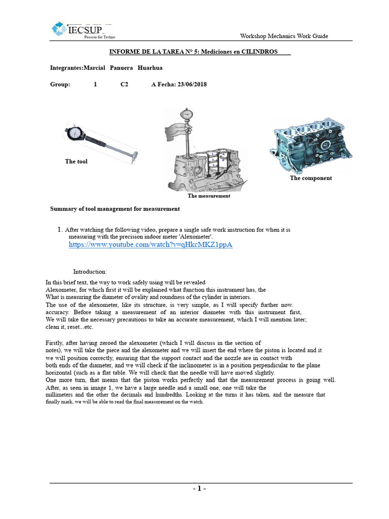 Safe Measurement Guide for Alexometer | PDF