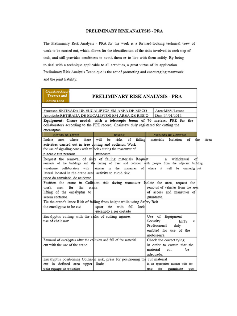Preliminary Risk Analysis - Pra | PDF | Safety