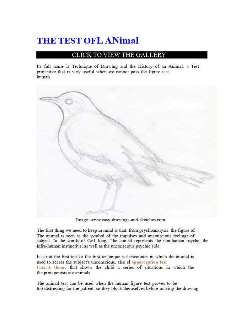 The Animal Test | PDF | Unconscious Mind | Psychology