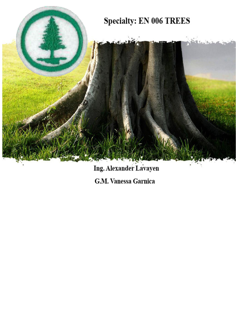 Tree Biology and Identification Guide | PDF | Leaf | Trees