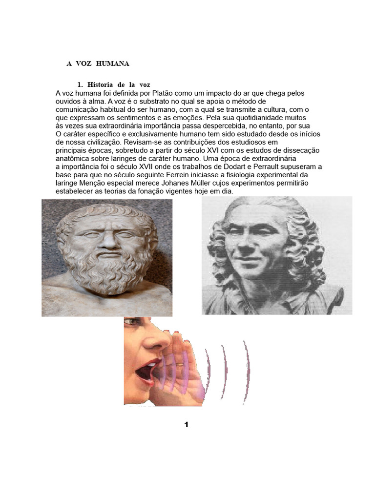 História e Classificação da Voz Humana | PDF | Voz humana | Canto