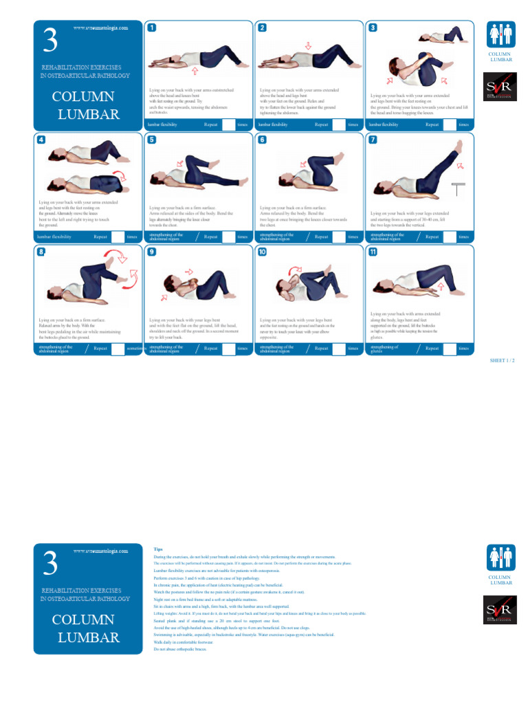 03-Exercises-Lumbar-Spine.pdf | PDF | Abdomen | Knee