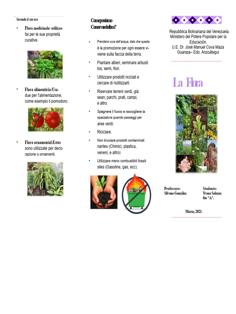 La Flora | PDF