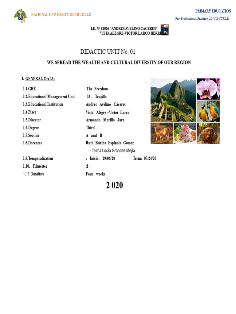 Cultural Diversity in Primary Education | PDF | Knowledge | Information