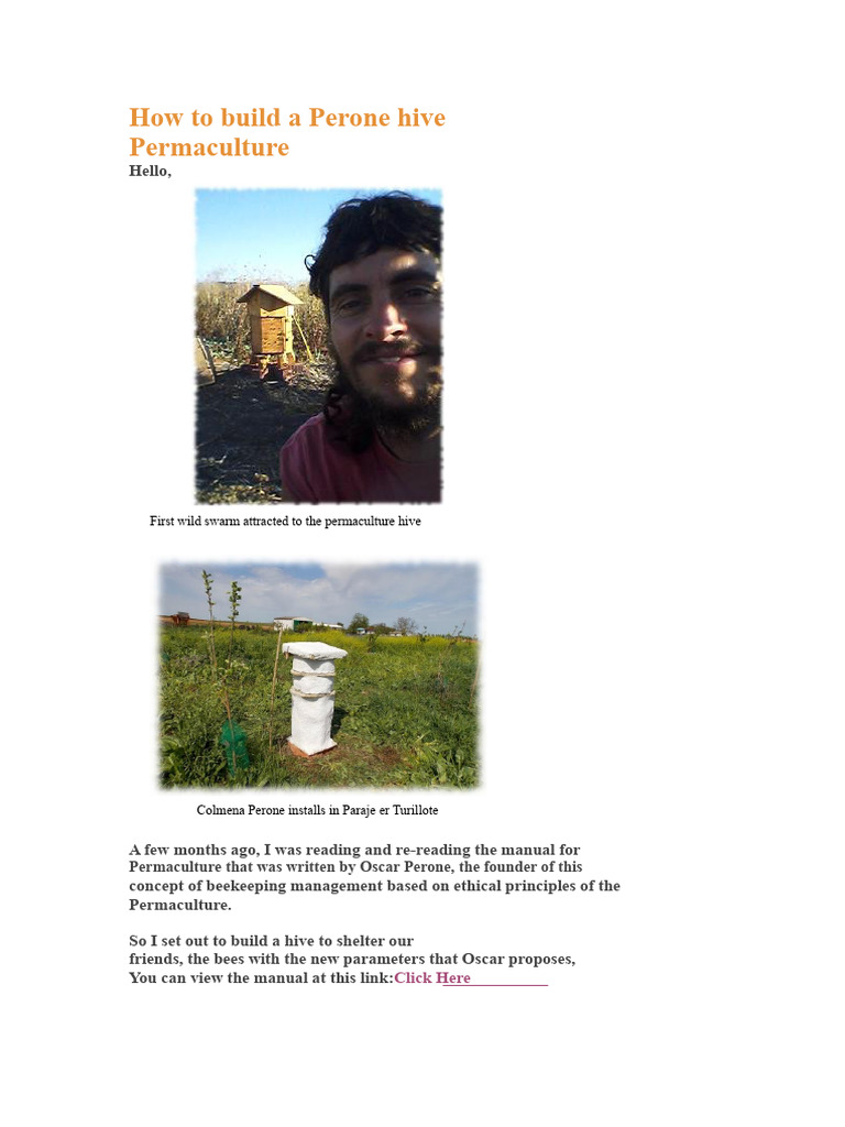 Build a Perone Hive for Bees | PDF | Beehive | Beekeeping