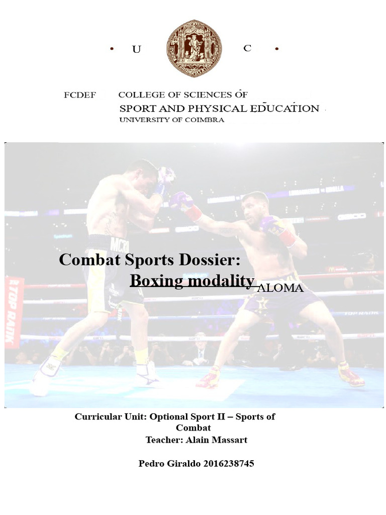 Boxing Rules and Techniques Overview | PDF