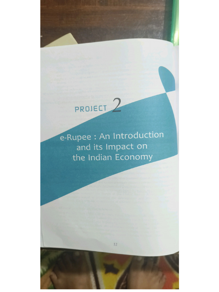 Economics Project PDF | PDF