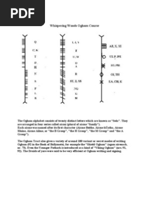 Ogham Course Mali Oak - 