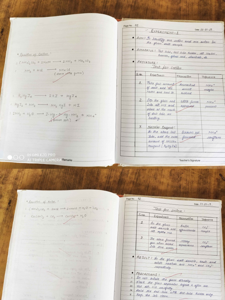 Class 12 TH Practical | PDF