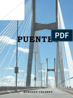 Monografía Puentes Calabró