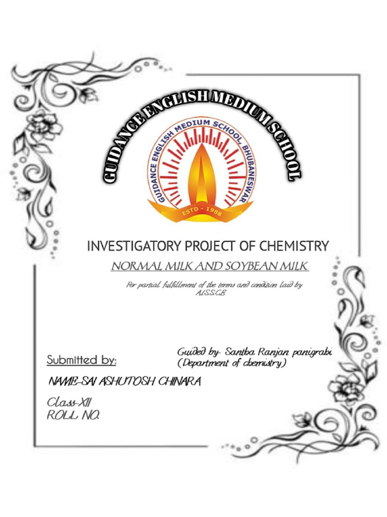 Chemistry Project | PDF