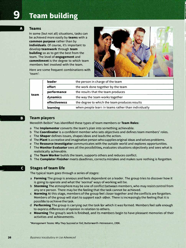 Team Building and Roles Explained | PDF | Emotional Intelligence ...