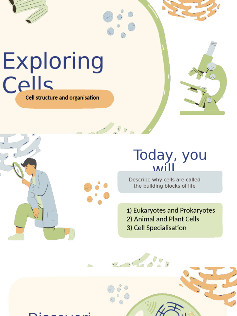 Exploring Cells. 3 | PDF | Cell (Biology) | Tissue (Biology)