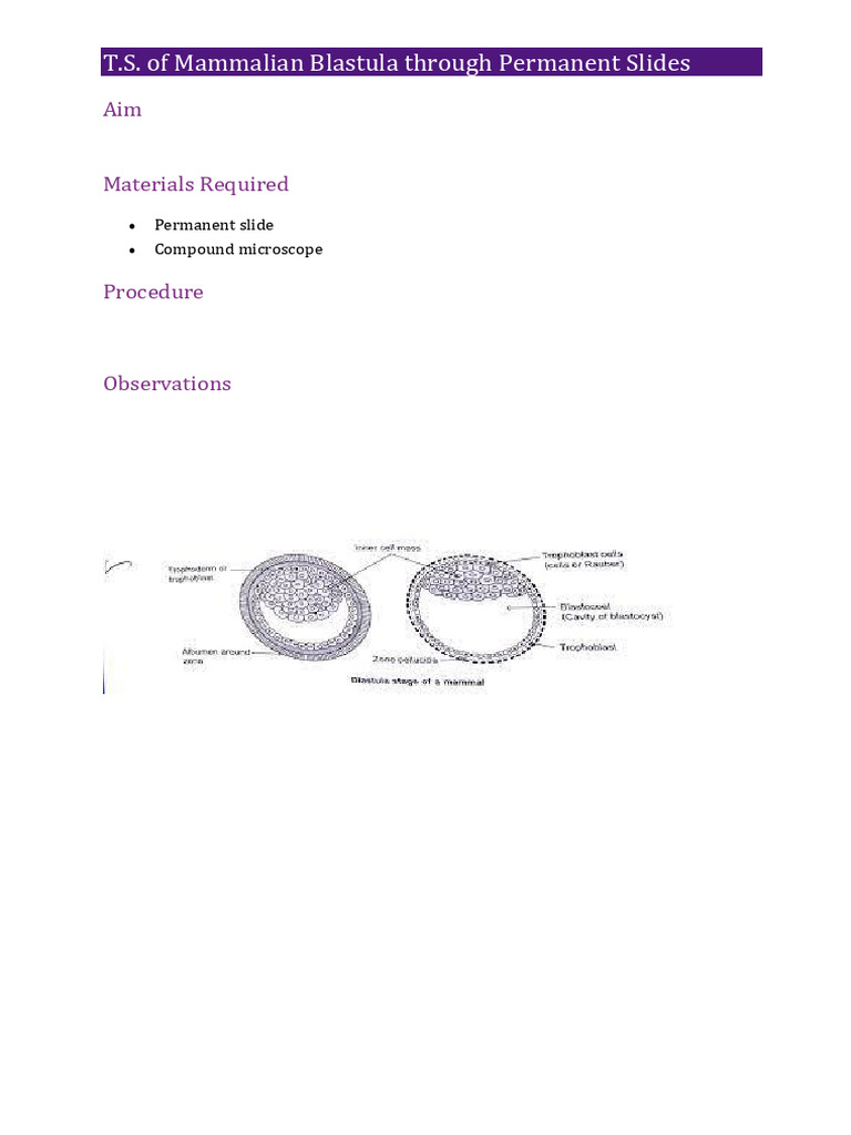 Experiment 9 | PDF