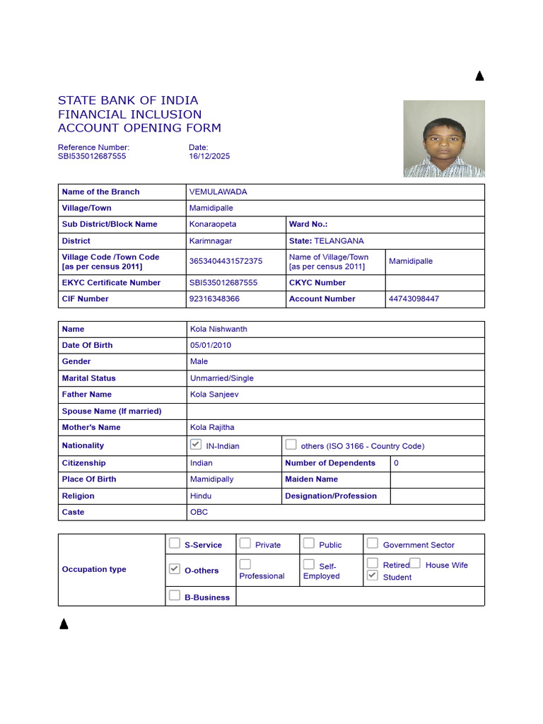 SBI Financial Inclusion Account Form | PDF | Justice | Crime & Violence