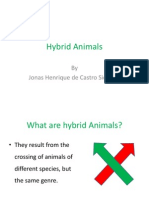 Hybrid Animals: by Jonas Henrique de Castro Siqueira