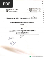 Practicum Report Format Guide | PDF