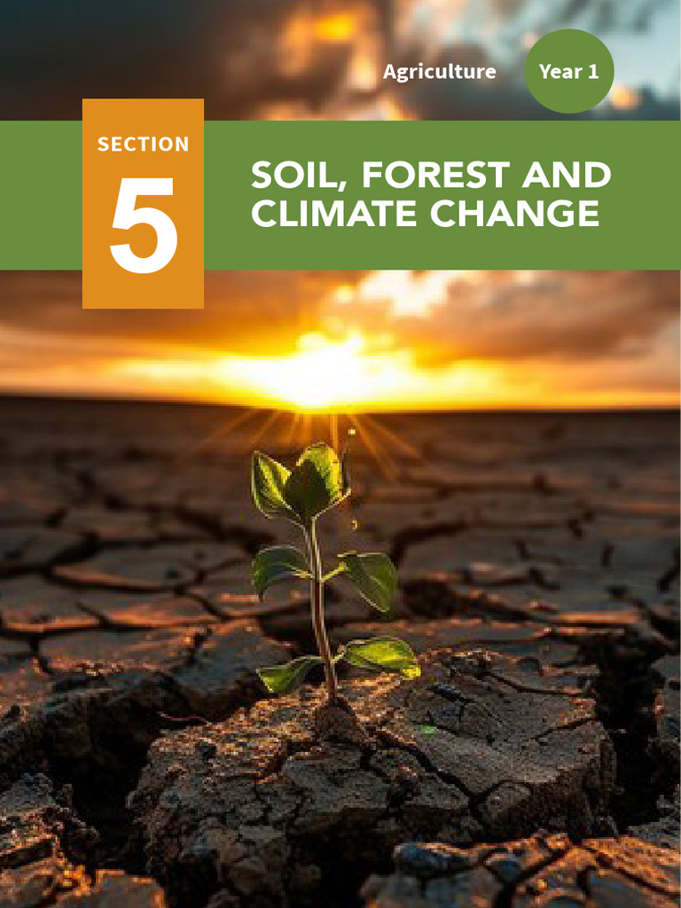 Soil, Forest, and Climate Change Impact | PDF | Soil | Forest Management