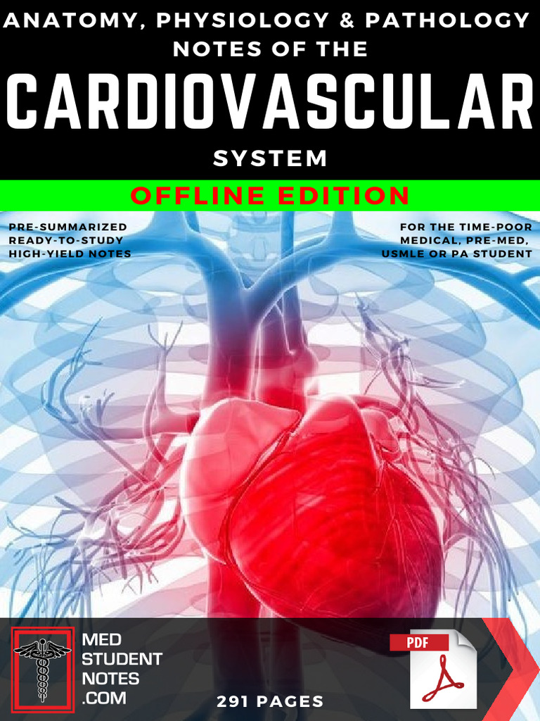 High-Yield Cardiovascular Study Notes | PDF | Heart Valve | Coronary ...