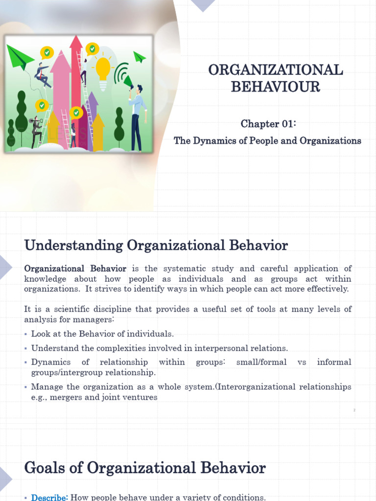 Understanding Organizational Behavior Dynamics | PDF | Organizational ...