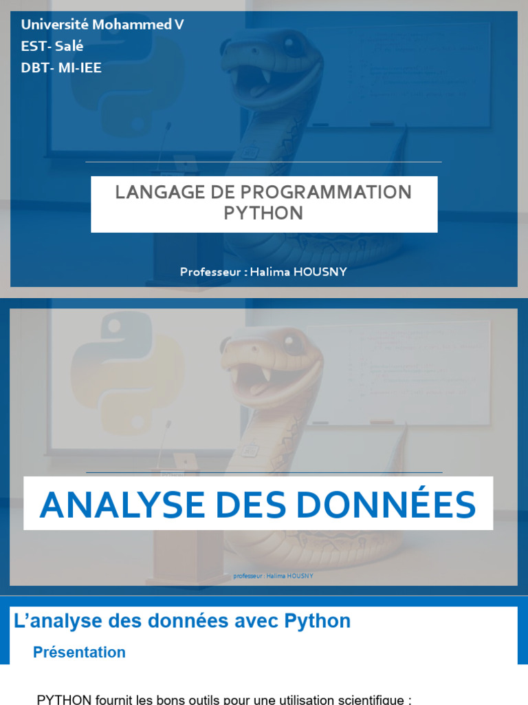 Analyse des données avec Python | PDF | Python (Langage de ...