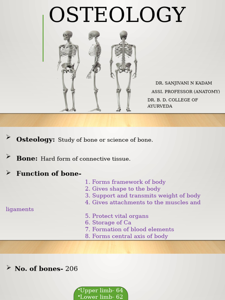 Comprehensive Guide to Osteology | PDF | Bone | Osteoblast