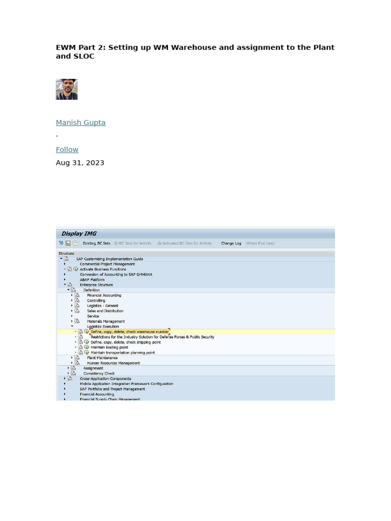 EWM Warehouse Setup Guide | PDF