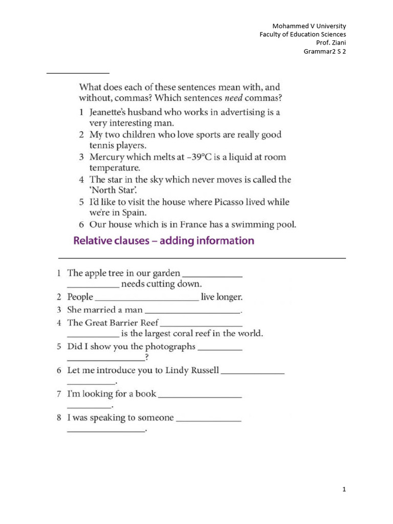 Relative Clauses Grammar Exercise | PDF
