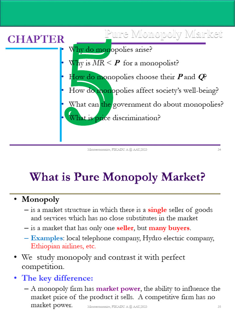 Understanding Pure Monopoly Markets | PDF | Monopoly | Monopoly (Economics)