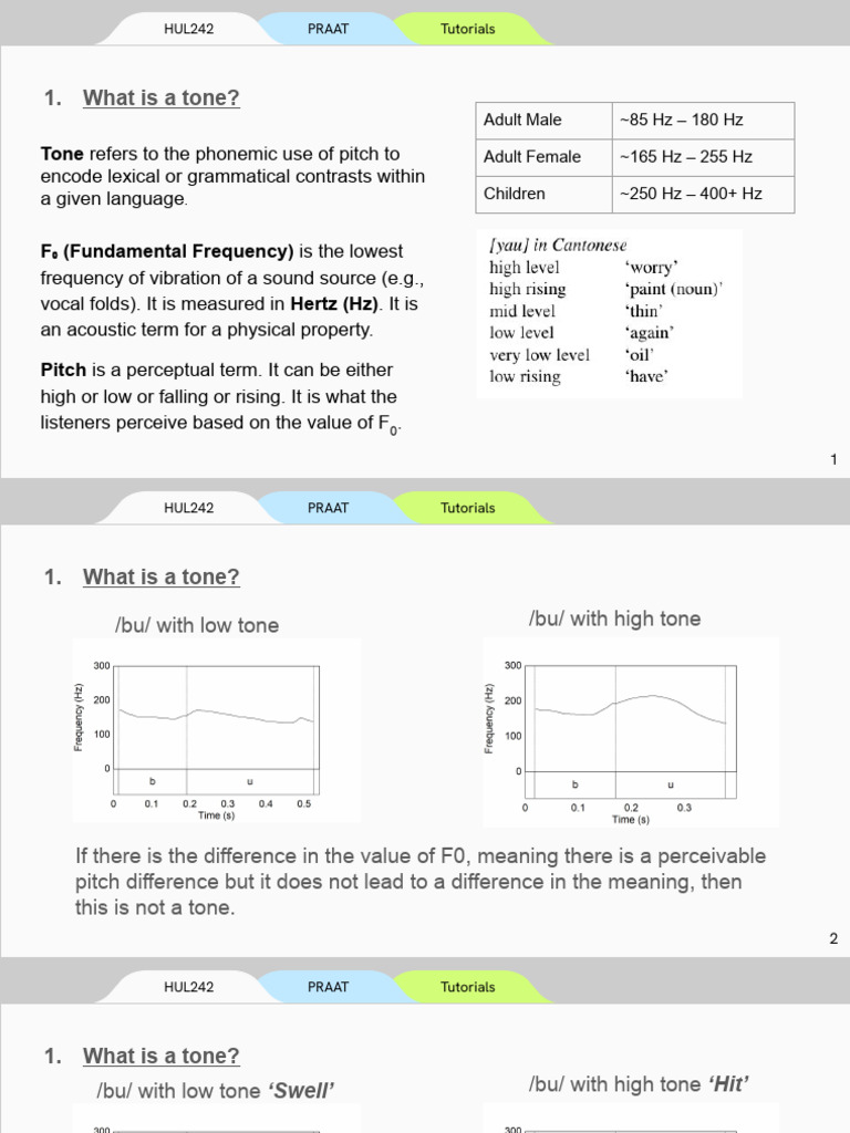 Understanding Tone in Linguistics | PDF | Tone (Linguistics) | Syllable