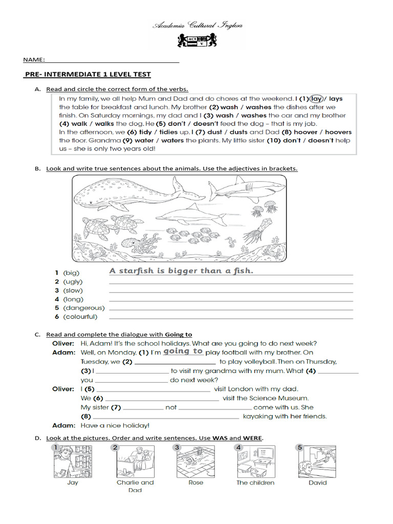 Pre Intermediate 1 Level Test | PDF