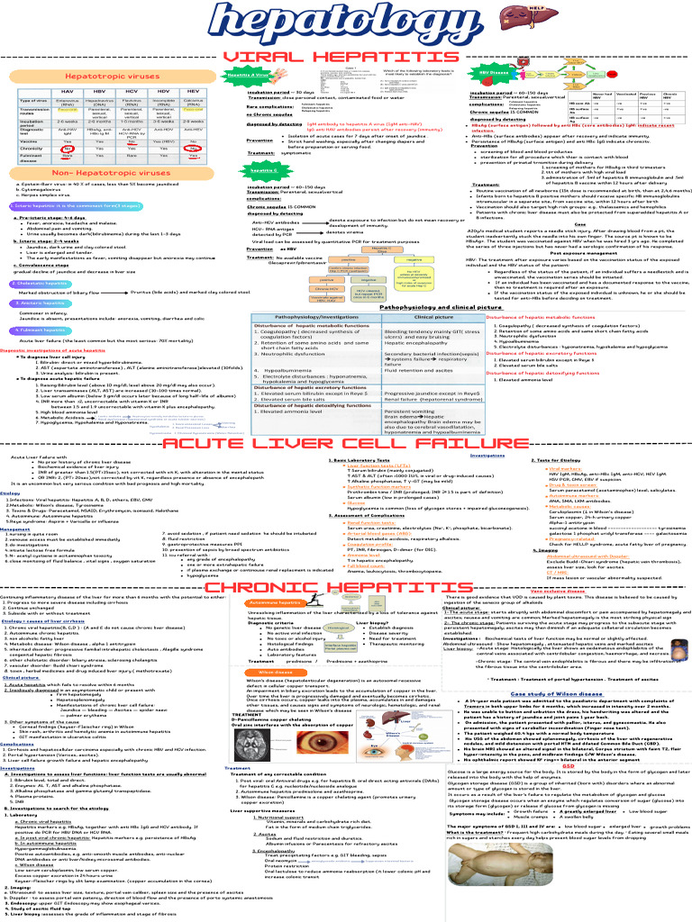Viral Hepatitis | PDF | Hepatitis | Hepatitis B