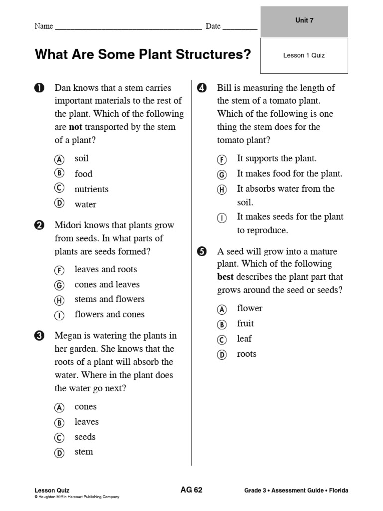 Grade 3 Plant Structures Quiz | PDF | Plants | Root