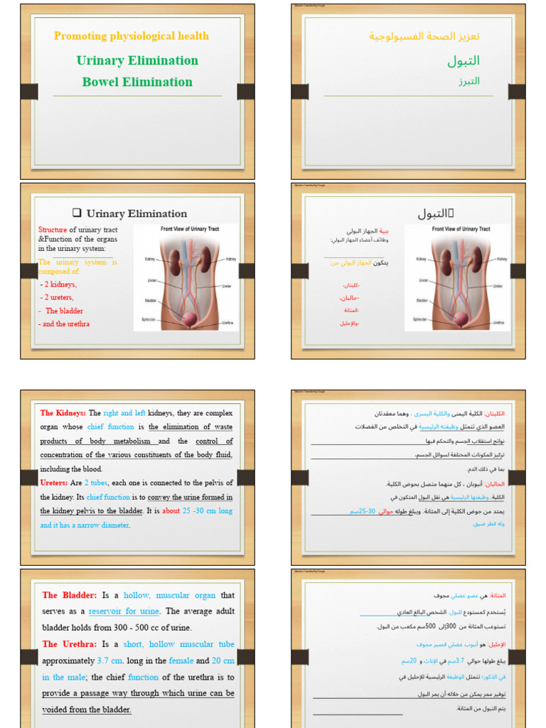 Urinary and Bowel Elimination Guide | PDF | Constipation | Urinary System