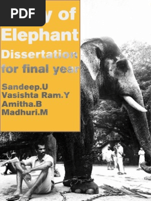Elephant Dissertation