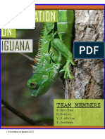 Iguana Dissertation