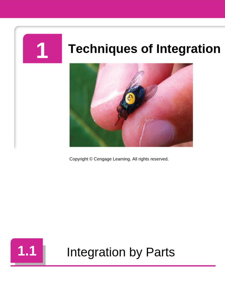 Integration by Parts Explained | PDF | Mathematical Concepts | Analysis