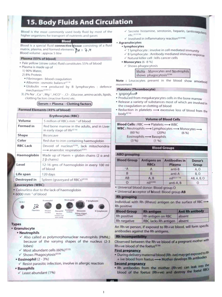 Body Fluids | PDF