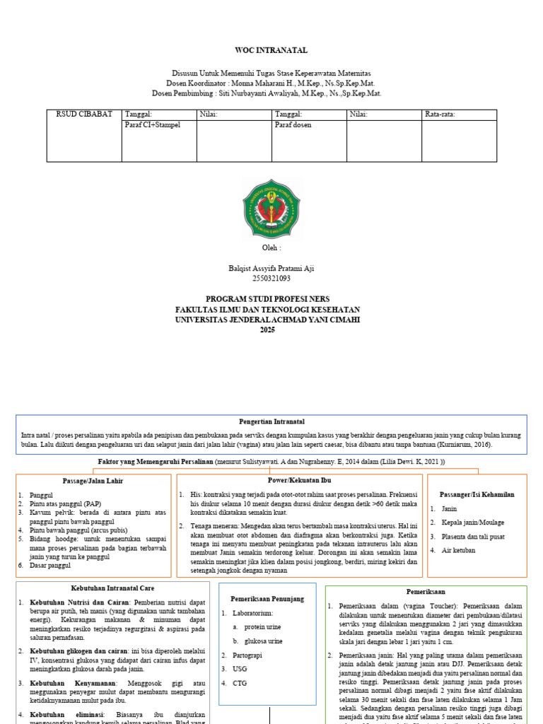 Panduan Intranatal Care untuk Ibu Hamil | PDF