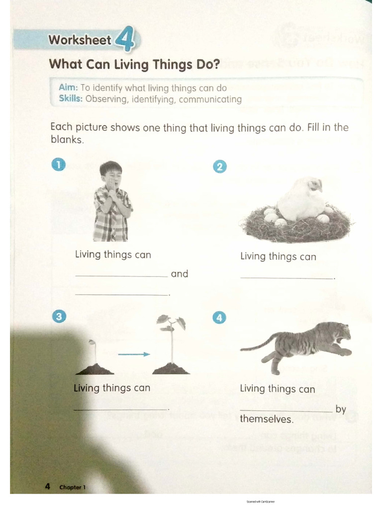 Science Activity Book Page 4 | PDF