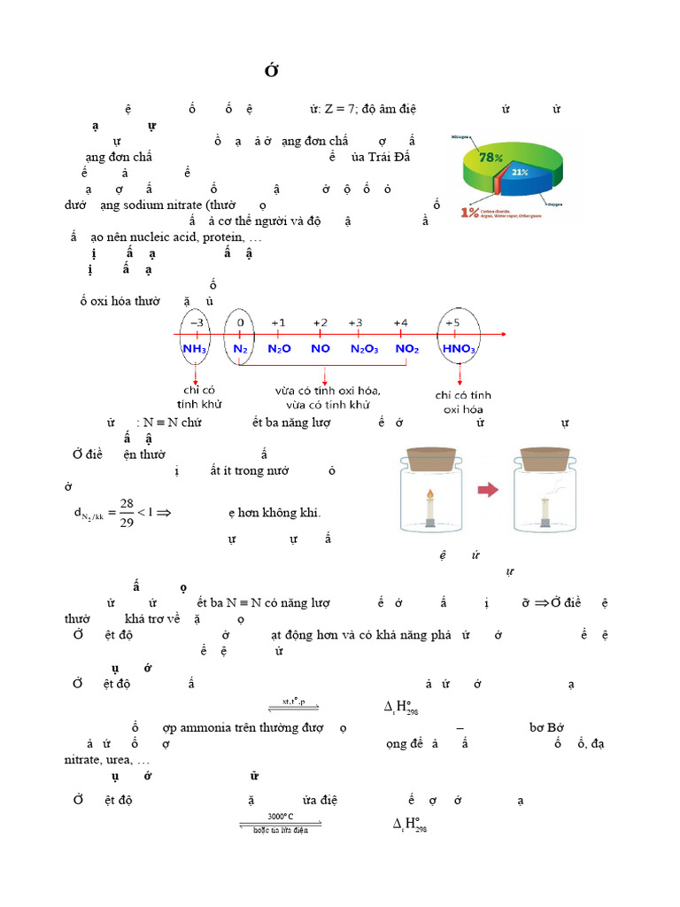 Nitrogen | PDF